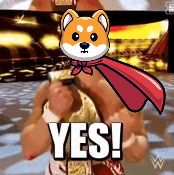 Super Shiba Inu meme