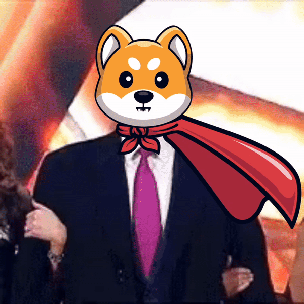 Super Shiba Inu meme